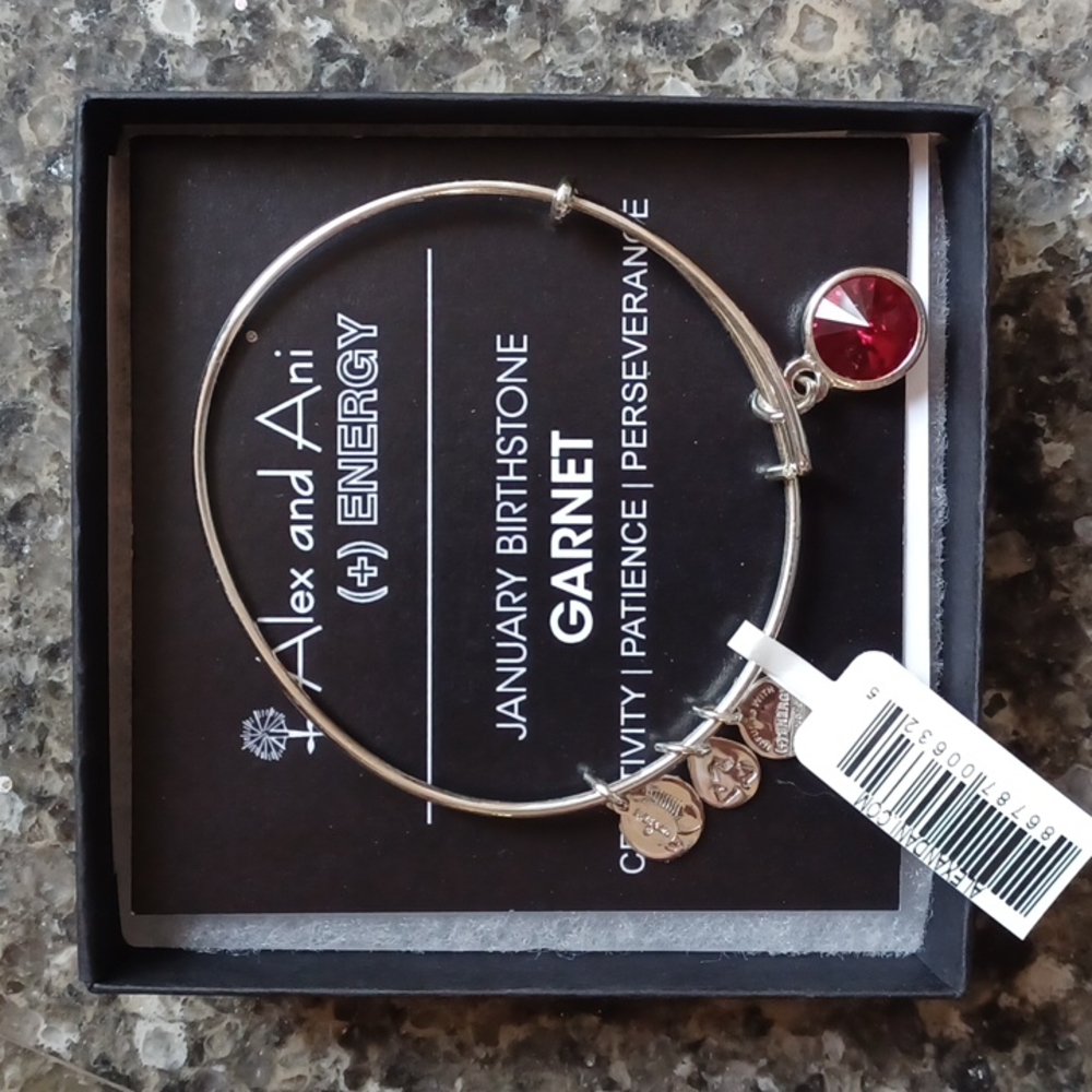 Alex and Ani bracelet